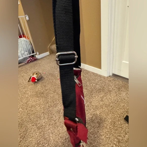 NWT Beetle Juice Crossbody - Picture 4 of 7